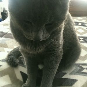 Meet your Posher, Isabel